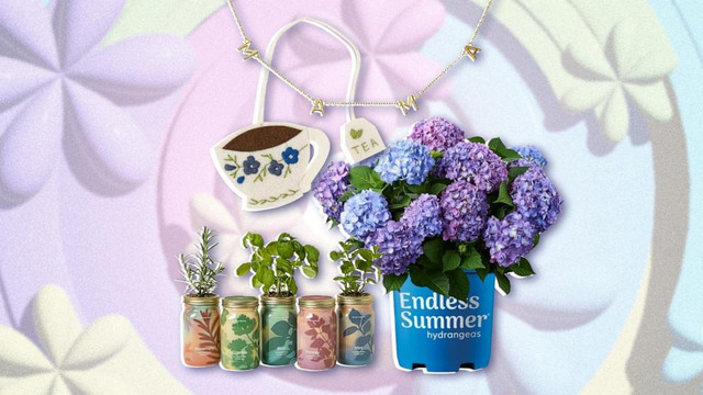 Mother's Day gifts under 25