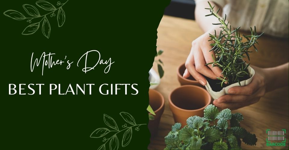 Best Mother's Day plants