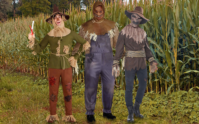 Scarecrow Costume