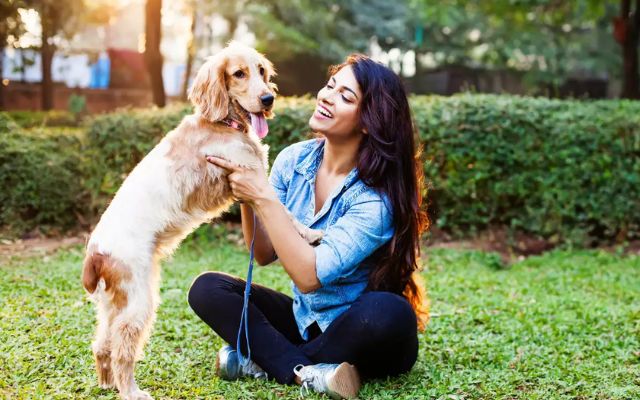 Brazil introduces QR code passports for pets